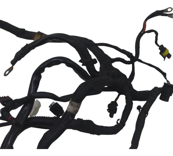Chicote Principal Bmw F 800 Gs 09-12 Original