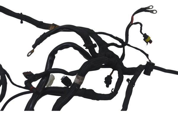 Chicote Principal Bmw F 800 Gs 09-12 Original