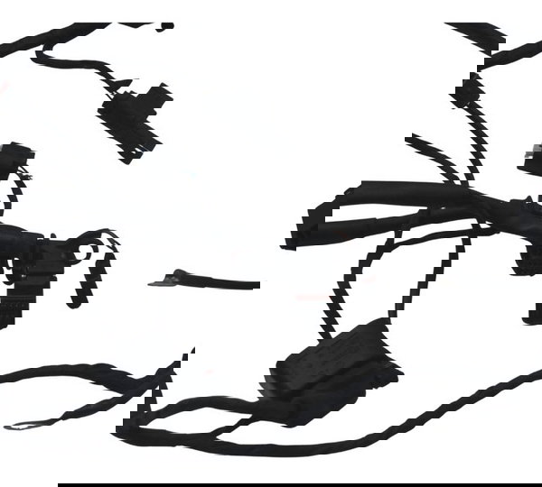 Chicote Principal Bmw F 800 Gs 09-12 Original