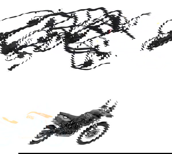 Chicote Principal Bmw F 800 Gs 09-12 Original