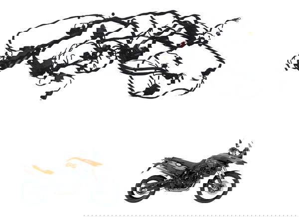 Chicote Principal Bmw F 800 Gs 09-12 Original