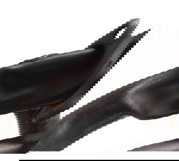 Curva Escape C/ Avaria Kawasaki Z 800 13-17 Original