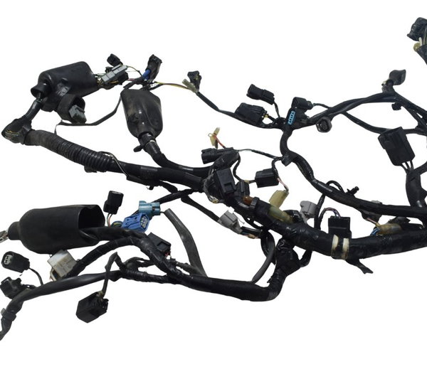 Chicote Principal Kawasaki Z 800 13-17 Original