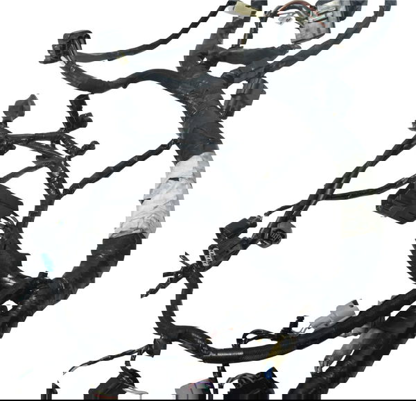 Chicote Principal Kawasaki Z 800 13-17 Original