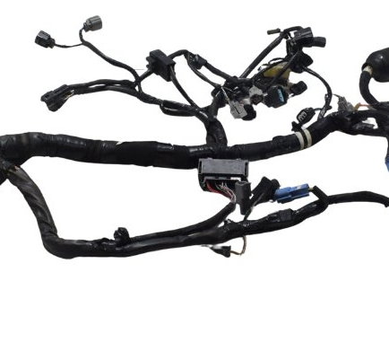 Chicote Principal C/ Abs Kawasaki Z 800 13-17 Original