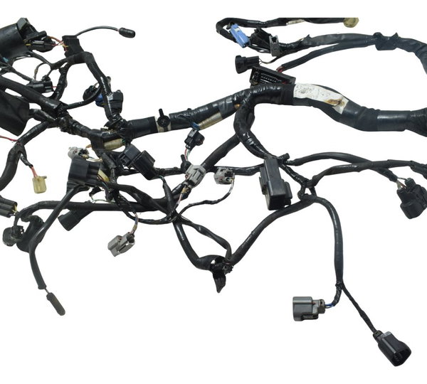 Chicote Principal C/ Abs Kawasaki Z 800 13-17 Original