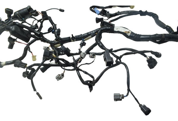 Chicote Principal C/ Abs Kawasaki Z 800 13-17 Original