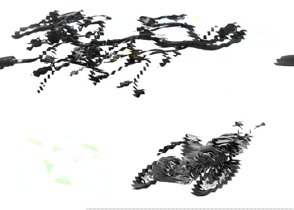 Chicote Principal C/ Abs Kawasaki Z 800 13-17 Original