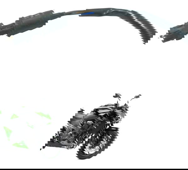 Interruptor Freio Traseiro Kawasaki Z 800 13-17 Original