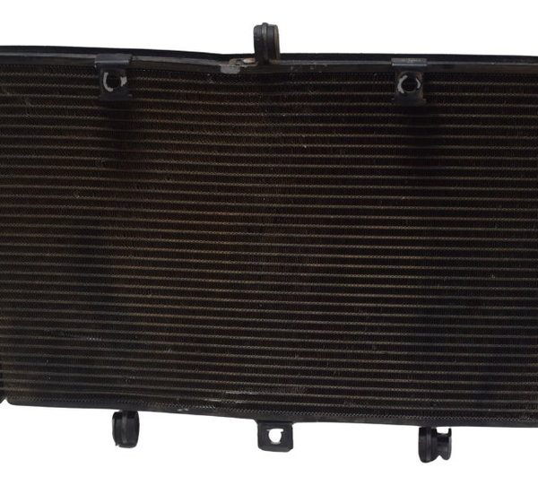 Radiador C/ Detalhes Kawasaki Z 800 13-17 Original