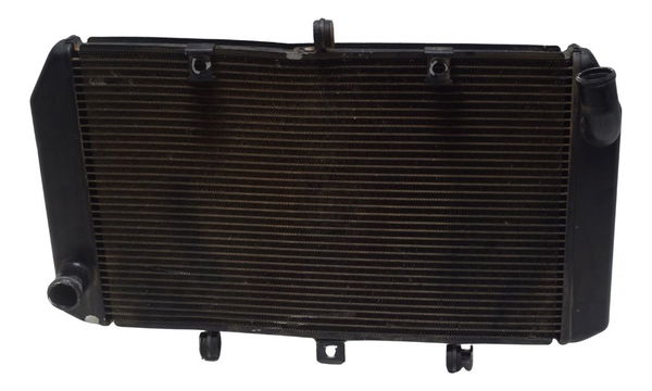 Radiador C/ Detalhes Kawasaki Z 800 13-17 Original