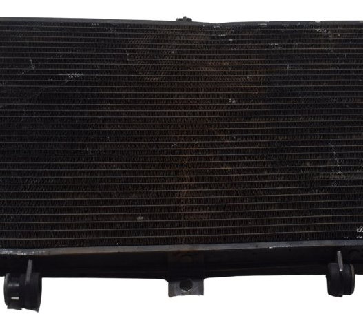 Radiador C/ Detalhes Kawasaki Z 800 13-17 Original