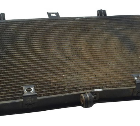 Radiador C/ Detalhes Kawasaki Z 800 13-17 Original