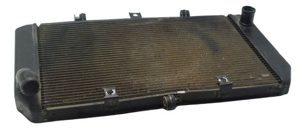 Radiador C/ Detalhes Kawasaki Z 800 13-17 Original