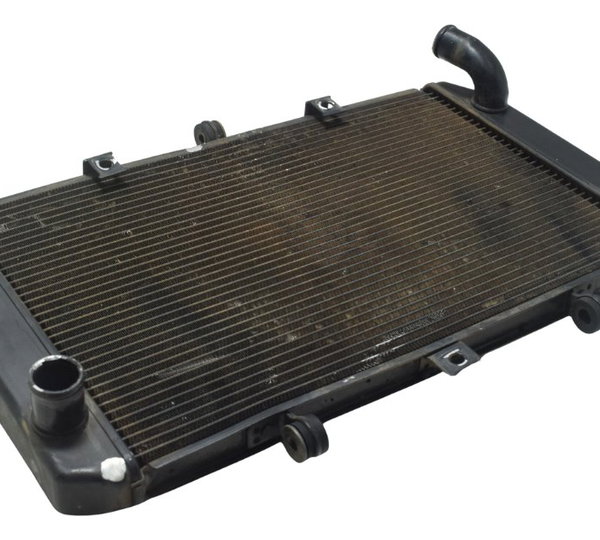 Radiador C/ Detalhes Kawasaki Z 800 13-17 Original