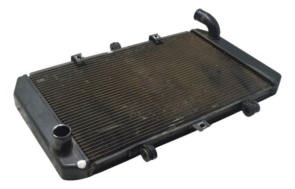 Radiador C/ Detalhes Kawasaki Z 800 13-17 Original