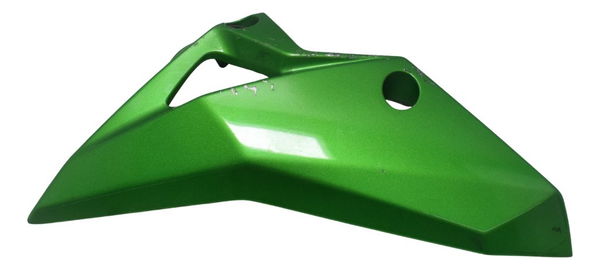 Spoiler Esquerdo Kawasaki Z 800 13-17 Original Verde
