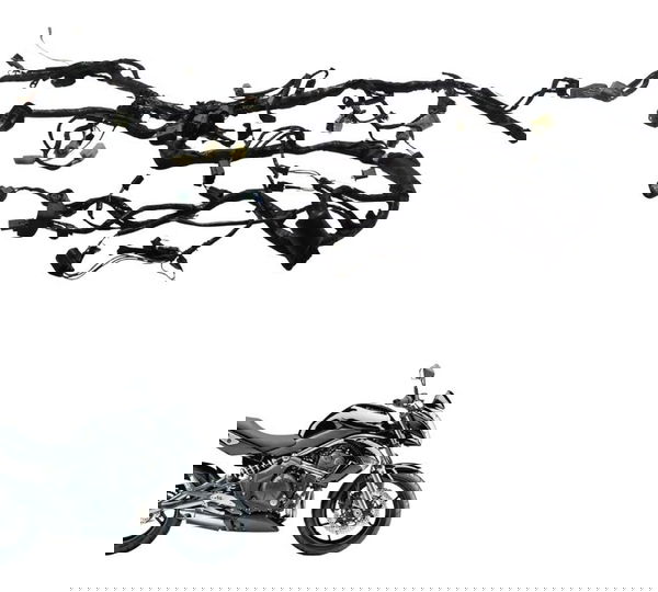 Chicote Principal C/ Avaria Kawasaki Er 6n 10-12 Original