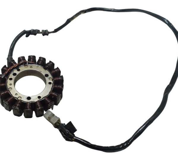 Estator Yamaha Drag Star Xvs 650 96-08 Original