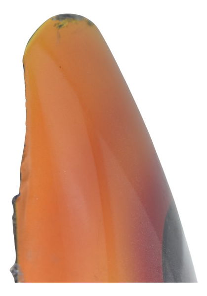 Paralama Dianteiro C/detalhes Yamaha Drag Star Xvs 650 96-08