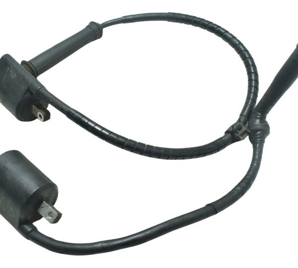 Par Bobina Ignição Yamaha Drag Star Xvs 650 96-08 Original