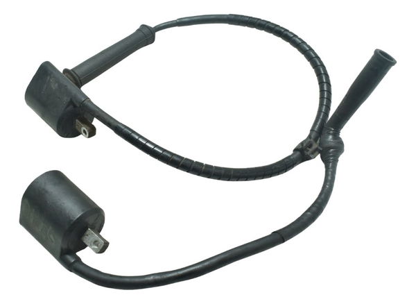 Par Bobina Ignição Yamaha Drag Star Xvs 650 96-08 Original