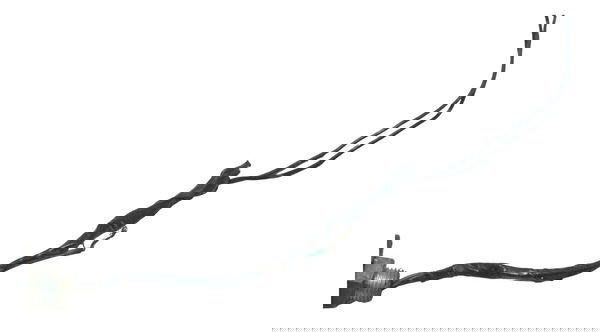 Pisca Tras S/plug Yamaha Drag Star Xvs 650 96-08 Original