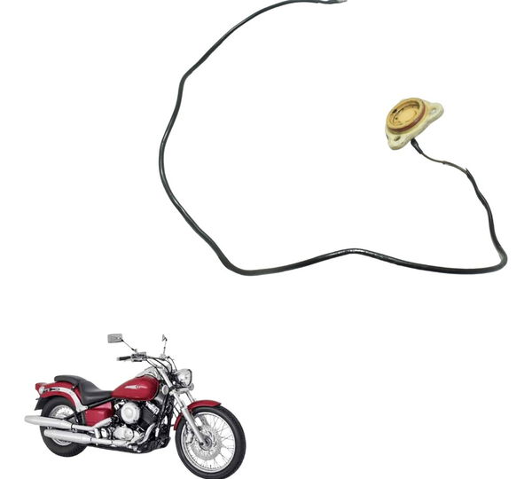 Sensor Neutro Yamaha Drag Star Xvs 650 96-08 Original