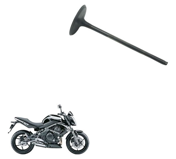 Válvula Admissão Kawasaki Er 6n 10-12 Original