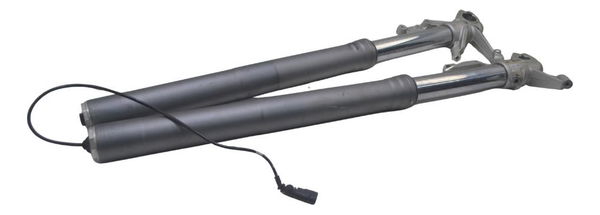 Bengala Par Completa Ducati Multistrada 950 S 20-23 Original