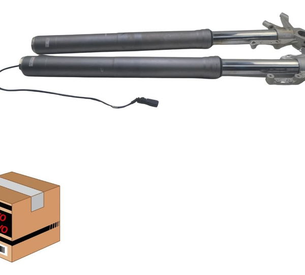 Bengala Par Completa Ducati Multistrada 950 S 20-23 Original