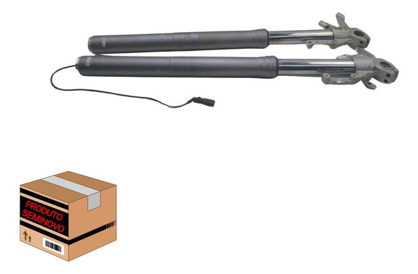 Bengala Par Completa Ducati Multistrada 950 S 20-23 Original