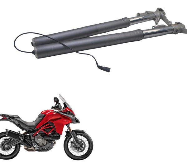 Bengala Par Completa Ducati Multistrada 950 S 20-23 Original