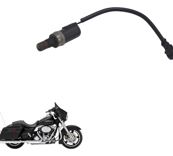 Sensor Descompressor Harley Street Glide Touring 11-13 Origi