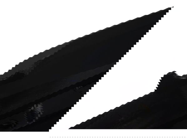 Regulador Bolha Ducati Multistrada 950 S 20-23 Original