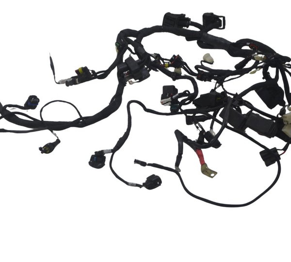 Chicote Principal Ducati Multistrada 950 S 20-23 Original