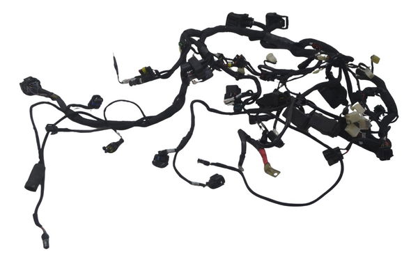 Chicote Principal Ducati Multistrada 950 S 20-23 Original