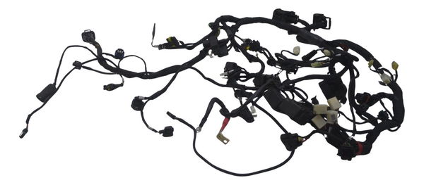 Chicote Principal Ducati Multistrada 950 S 20-23 Original