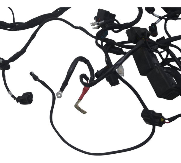 Chicote Principal Ducati Multistrada 950 S 20-23 Original