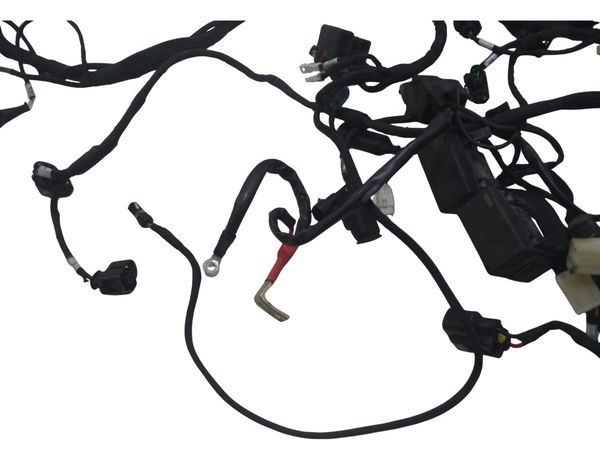 Chicote Principal Ducati Multistrada 950 S 20-23 Original