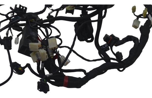 Chicote Principal Ducati Multistrada 950 S 20-23 Original