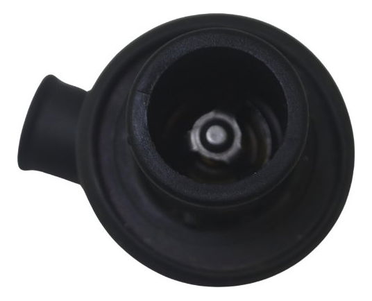 Válvula Termostática Ducati Multistrada 950 S 20-23 Original