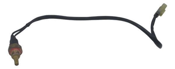 Sensor Temperatura Ducati Multistrada 950 S 20-23 Original