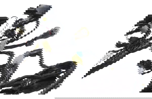 Chicote Principal C/avaria Yamaha Mt 03 20-25 Original