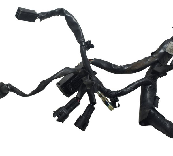 Chicote Principal C/avaria Yamaha Mt 03 20-25 Original