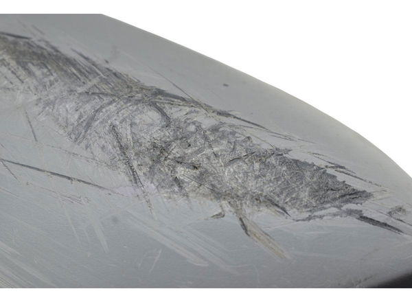 Carenagem Lateral Esq C/detalhes Yamaha Mt 03 20-25 Original Cinza