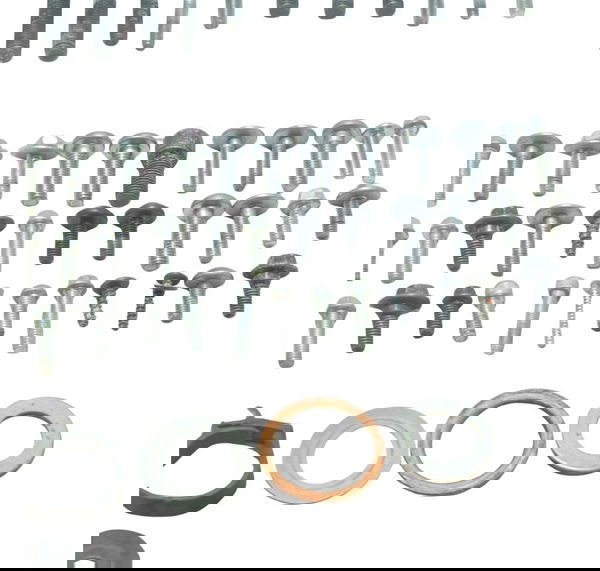 Kit Parafusos Diversos Yamaha Mt 03 20-25 Original