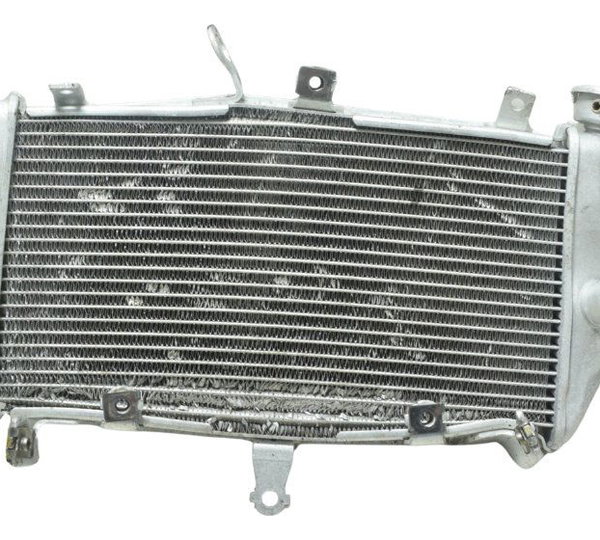 Radiador C/avaria Yamaha Mt 03 20-25 Original