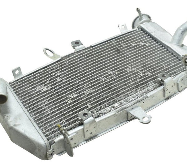 Radiador C/avaria Yamaha Mt 03 20-25 Original