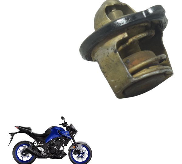 Válvula Termostática Yamaha Mt 03 20-25 Original
